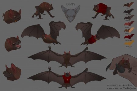 Летучая мышь вампир референс