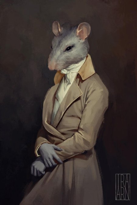 Крыса аристократ