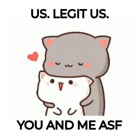 Кавайные котики любовь