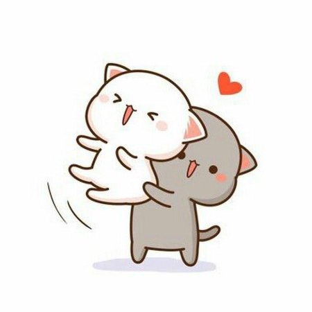 Кавайные котики парочка