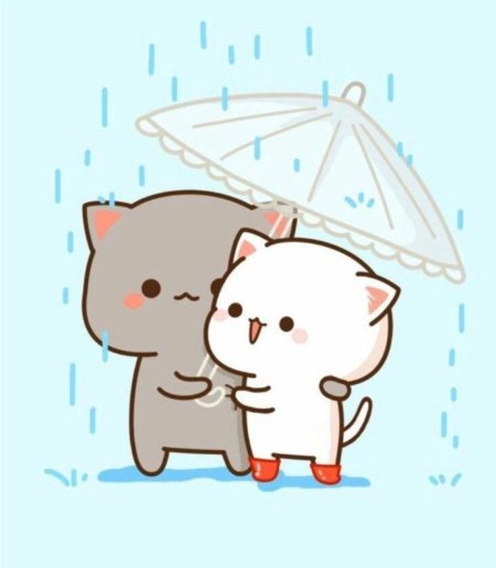 Кавайные котики любовь