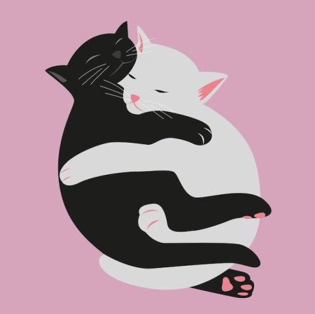 Котята в обнимку