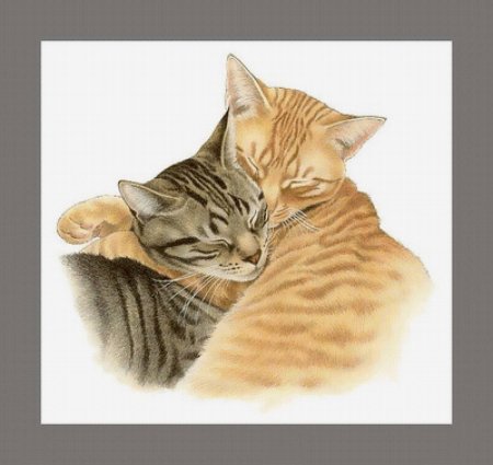 Влюбленные кошки