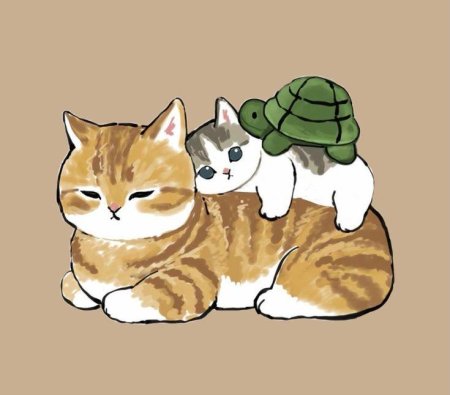 Рисунки милого котика