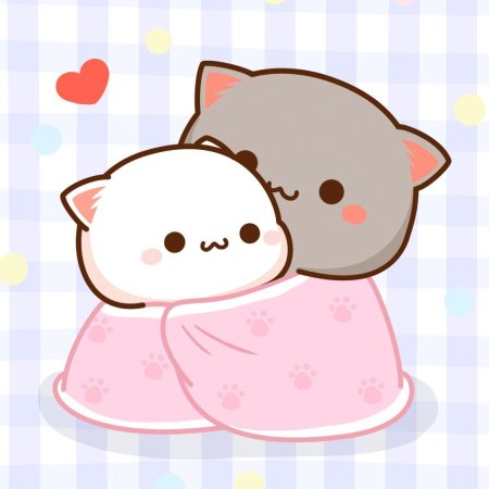 Кавайные котики парочка