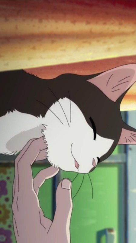 Аниме кошка ласки