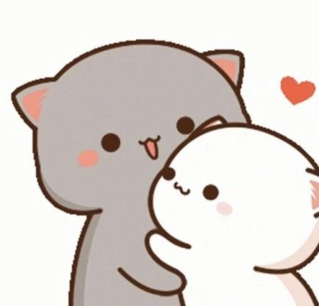 Кавайные котики любовь
