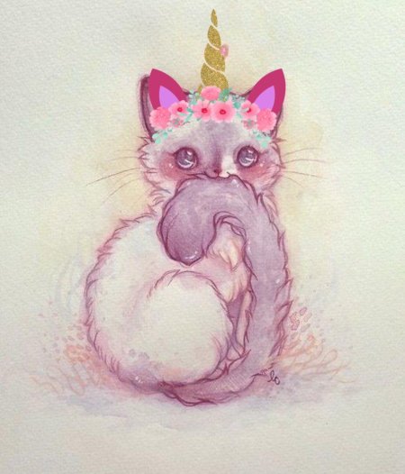 Котики рисунки для срисовки