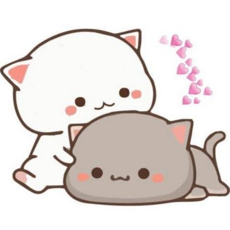 Кавайные котики любовь
