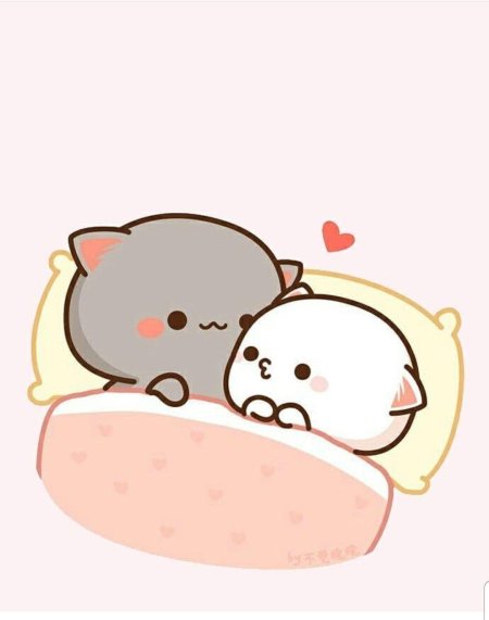 Кавайные котики парочка