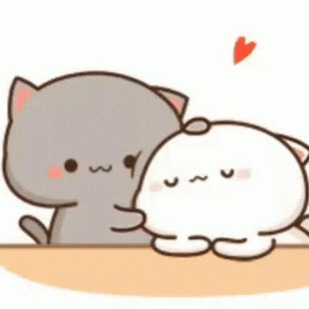 Кавайные котики любовь