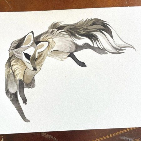 Рисунки лис