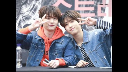 Джисон и минхо из stray kids