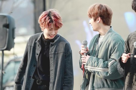 Stray kids минхо и джисон