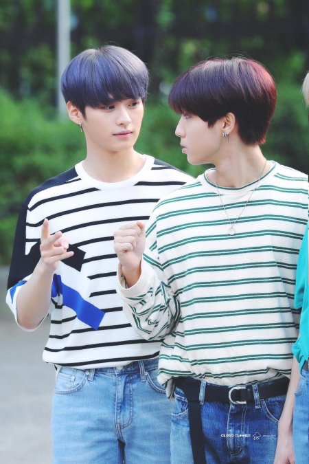 Минхо и джисон