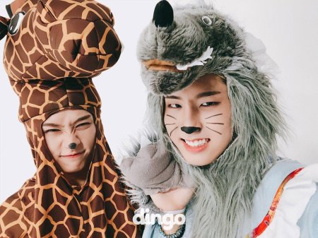 Джисон и минхо