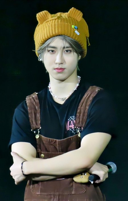 Джисон stray kids