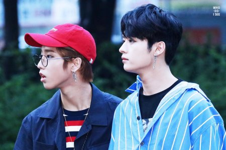 Минсоны stray kids эстетика