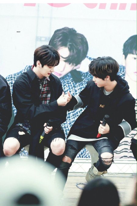 Ли минхо и джисон