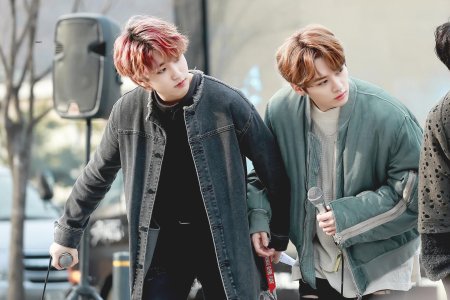 Stray kids минхо и джисон