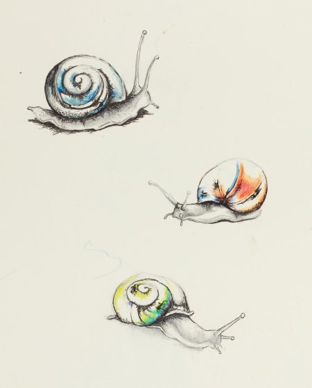 Рисунки улитки