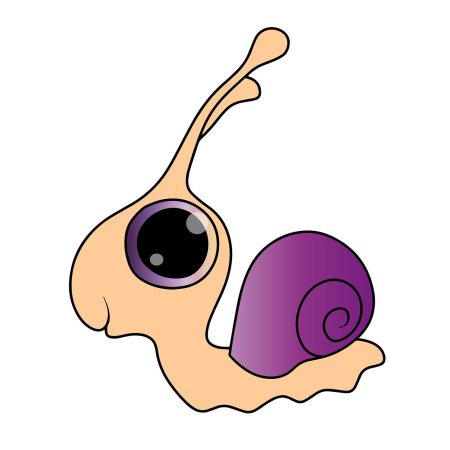 Snail shell