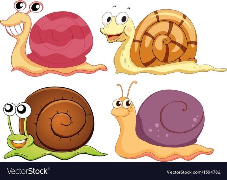 Улитка мульт