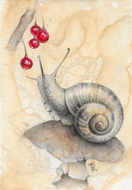 Рисунки улитки