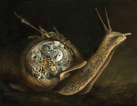 Улитка фэнтези