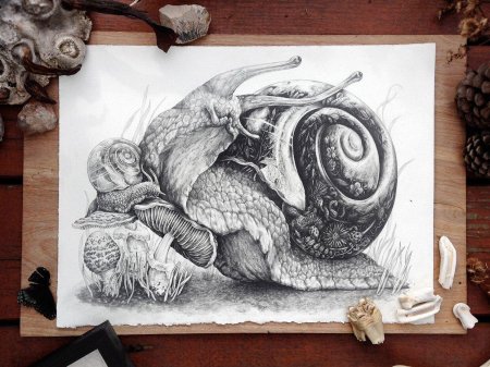 Художник-график zoe keller