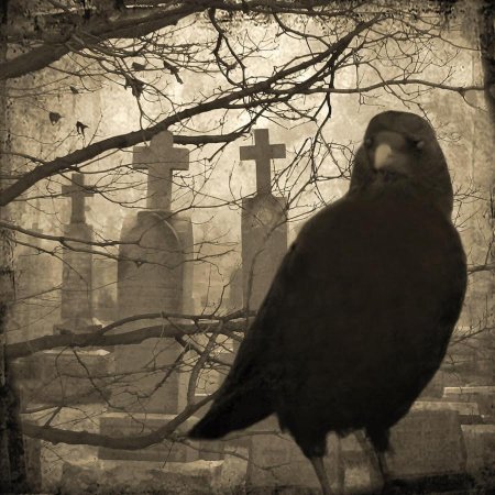 Ворон на кладбище