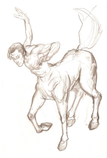 Анатомия кентавра