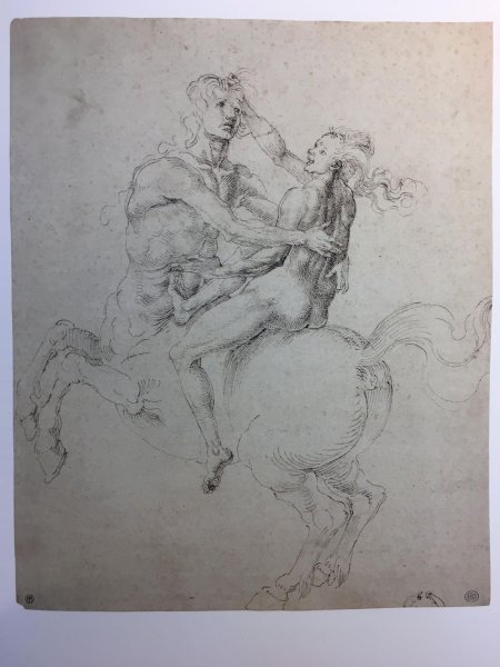 Франческо сфорца леонардо да винчи