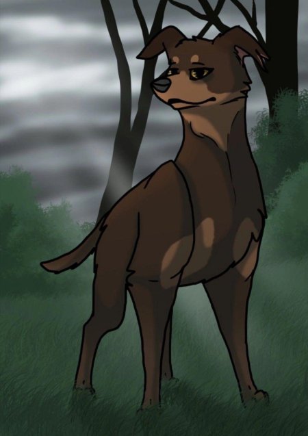 Хроники стаи кусака