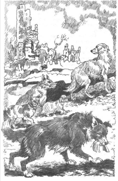 Хроники стаи. тайный враг