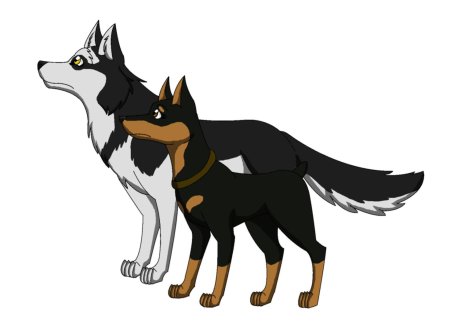 Хроники стаи полуволк альфа