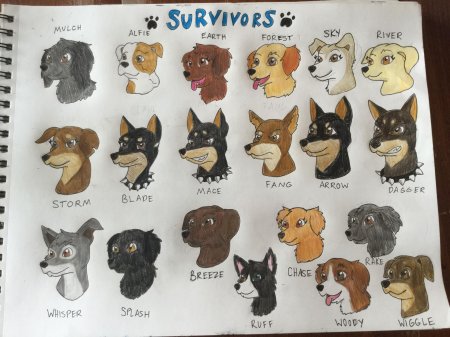 Персонажи из хроники стаи