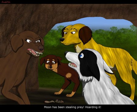 Хроники стаи лапочка и альфа