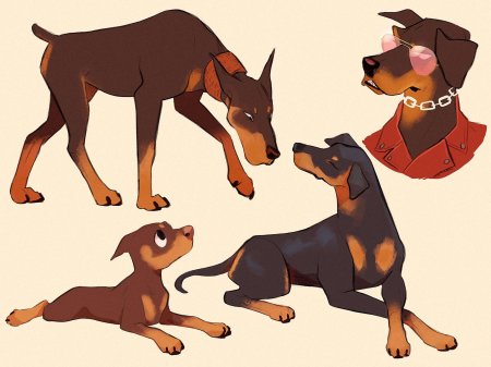 Собака доберман