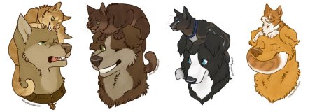 Эрин хантер собаки воители