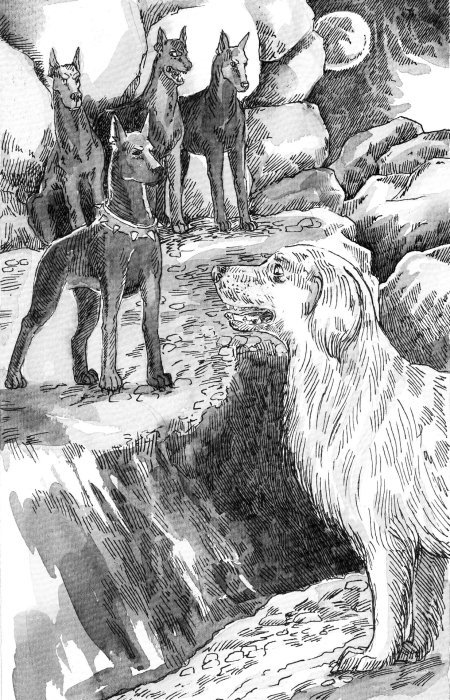 Эрин хантер странники