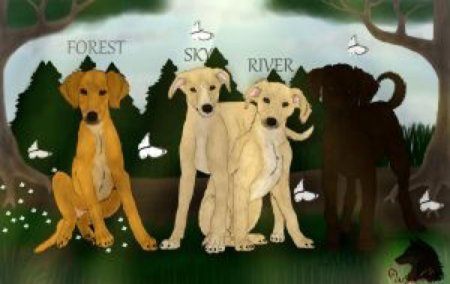 Хроники стаи счастливчик и лапочка