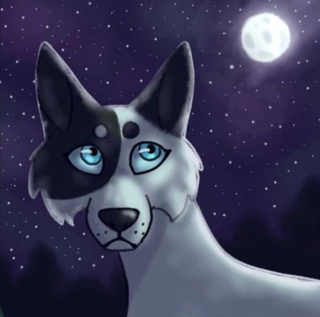 Коты воители белозвезд