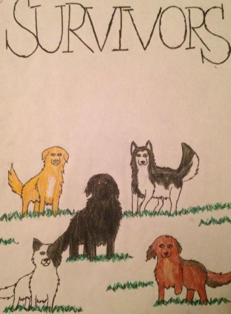 Survivor dog