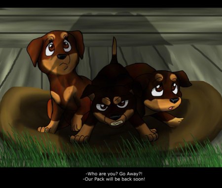 Хроники стаи счастливчик и альфа