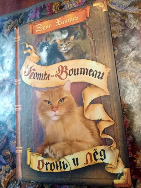 Эрин хантер коты воители огонь и лёд