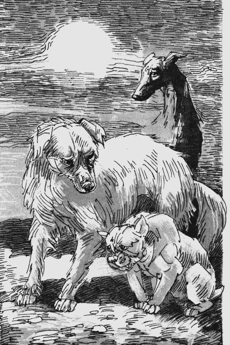 Эрин хантер хроники стаи собачья гроза