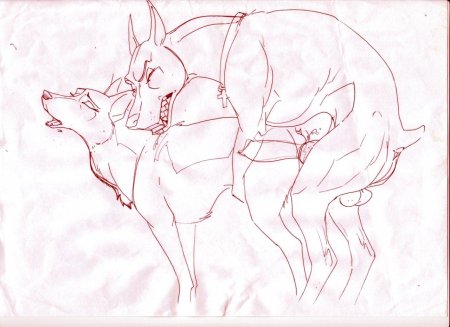 Доберман порно