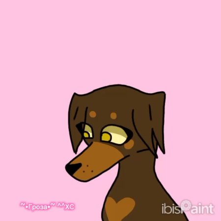 Хроники стаи