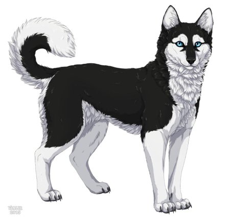 Хроники стаи хаски